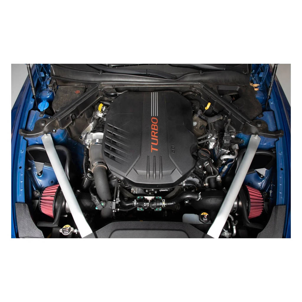 AEM 21-849DS C.A.S. KIA STINGER V6-3.3L F / I; 2018 Photo-3