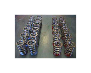 HKS 22002-AN038 Camshaft STEP2+V/Spring Set GTR35 270IN/278Exhaust (SEE MEMO!!!!) Photo-1