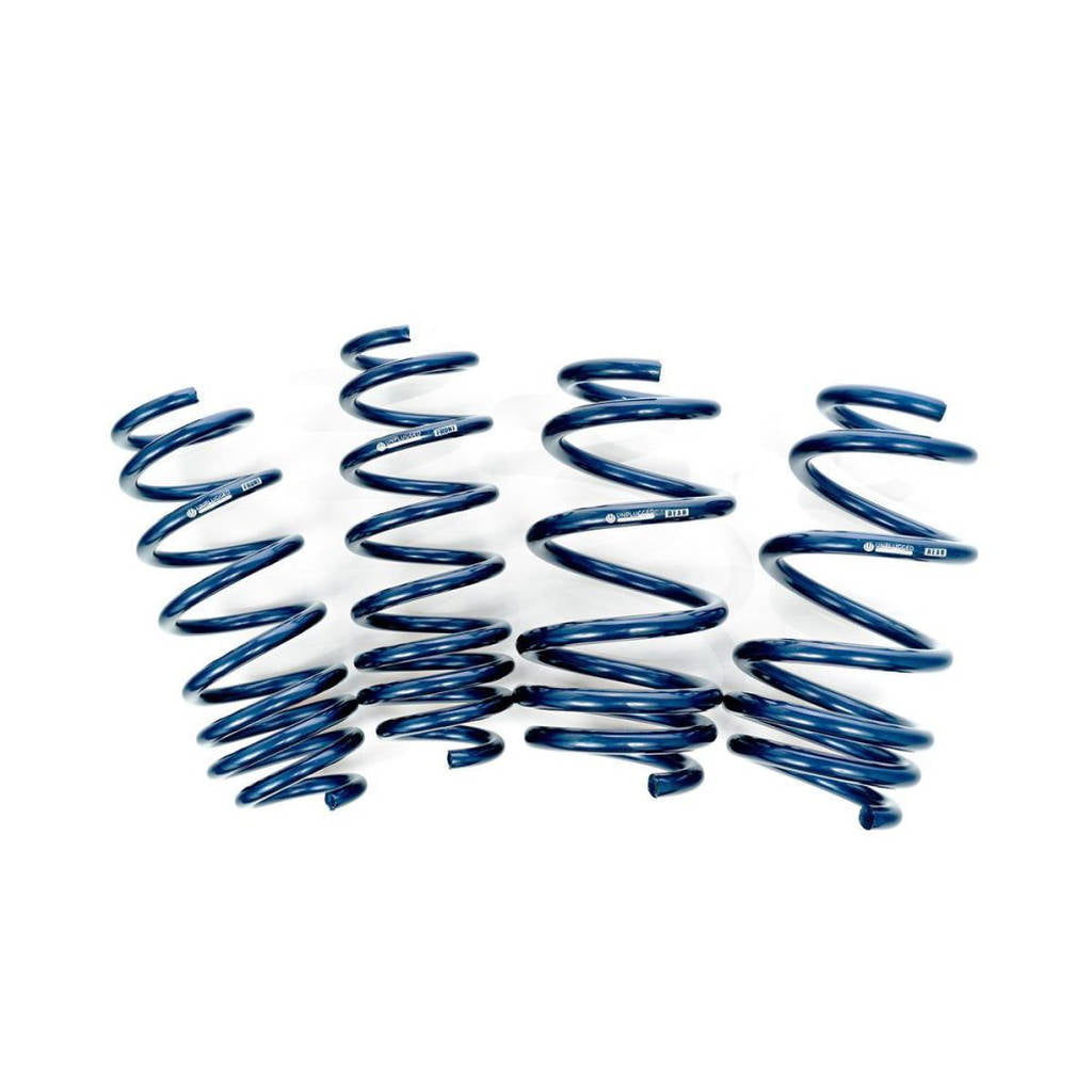 UNPLUGGED PERFORMANCE UP-M3-310-16.1 Dual Rate Spring Set, RWD, Long Range - Stock Comfort for TESLA Model 3 Photo-0