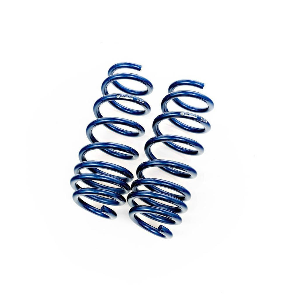 UNPLUGGED PERFORMANCE UP-M3-310-16.1 Dual Rate Spring Set, RWD, Long Range - Stock Comfort for TESLA Model 3 Photo-13