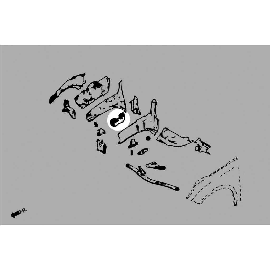 HARDRACE Q0731 FORD FOCUS MK2 ST/RS HARDEN ENGINE MOUNT KIT - 3PCS/SET Photo-6