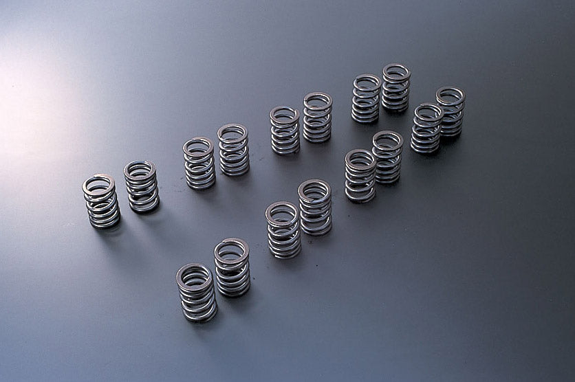 TOMEI TA304A-NS08A VALVE SPRING SR20DE (T) TYPE-A Photo-0