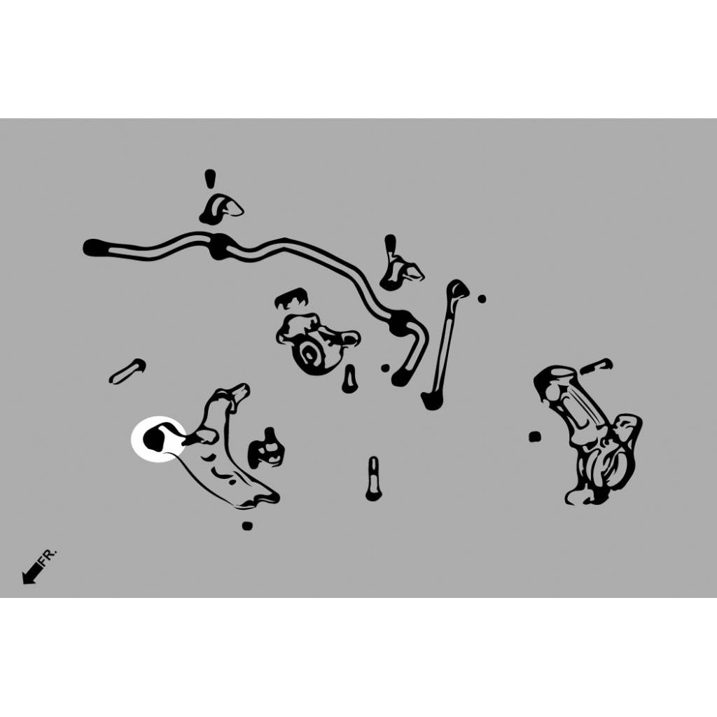 HARDRACE Q0864 Front Lower Arm -Front Bushing Kit (Harden Rubber) - 4PCS / SET for HONDA CR-V '17- Photo-6