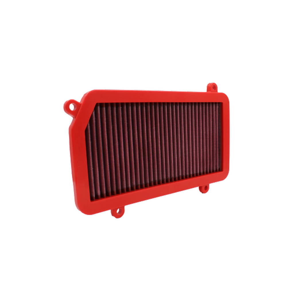 BMC FB655/01 176X327 AIR FILTER PANEL Photo-3