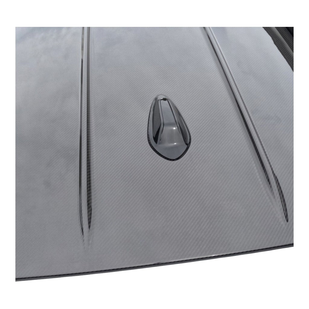 ALPHA-N AN-0632 Carbon Roof with Clear Coat for BMW M3 (G81) / 3 Series (G21) Photo-0