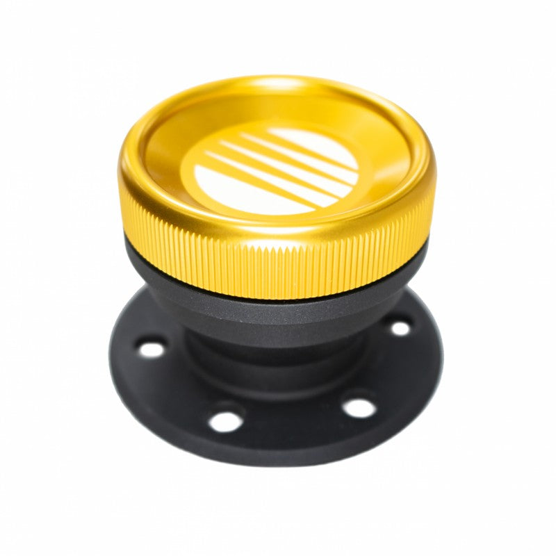 FUELAB 63711 Direct Fuel Fill Kit with Cap Photo-0