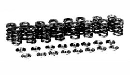 MANLEY 26165 Valve Spring and Retainer Kit (Valve Locks Not Included) for NISSAN SR20DE/SR20DET Photo-0