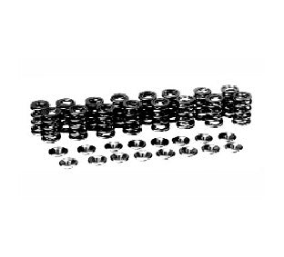 MANLEY 26170 Valve Spring and Retainer Kit (Valve Locks Not Included) for NISSAN VQ35DE/VQ35DET Photo-0
