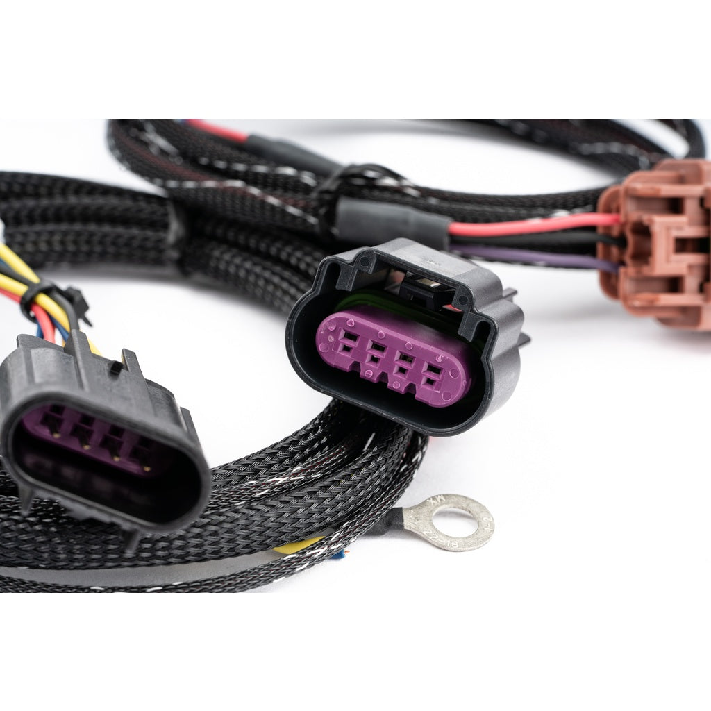 AMS AMS.00.07.0002-1 Universal Flex Fuel CAN Bus Box Photo-5