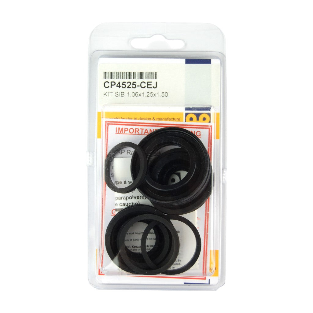 AP RACING CP4525-JK Rebuild kit for CP4525 caliper (1.50x1.62) Photo-0