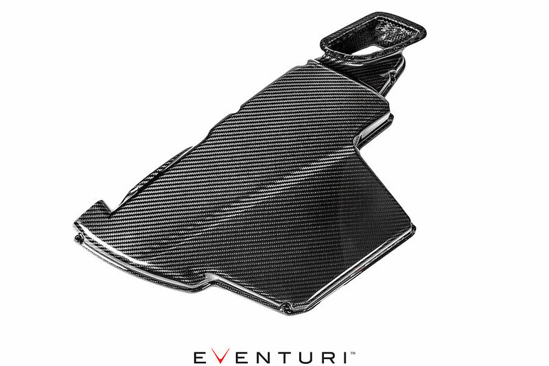EVENTURI EVE-E9X-CF-ARB Airbox lid BMW E9X M3 (carbon fiber) Photo-1