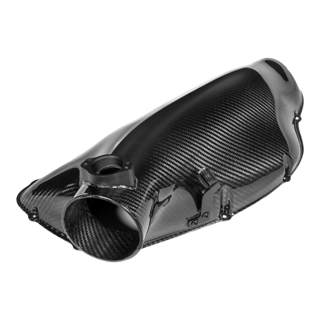 EVENTURI EVE-E46ABX-CF-PLM Airbox without Intake (Carbon) for BMW M3 (E46) Photo-4
