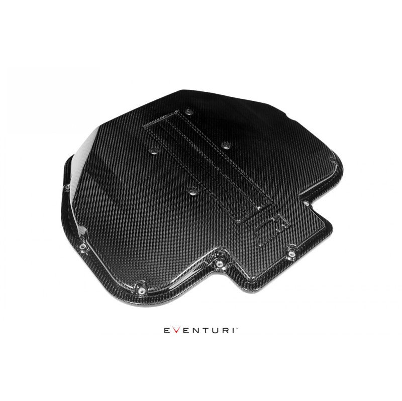 EVENTURI EVE-S62-CF-PLM Plenum Lid (Carbon) for BMW M5 (E39) S62 V8 Photo-1