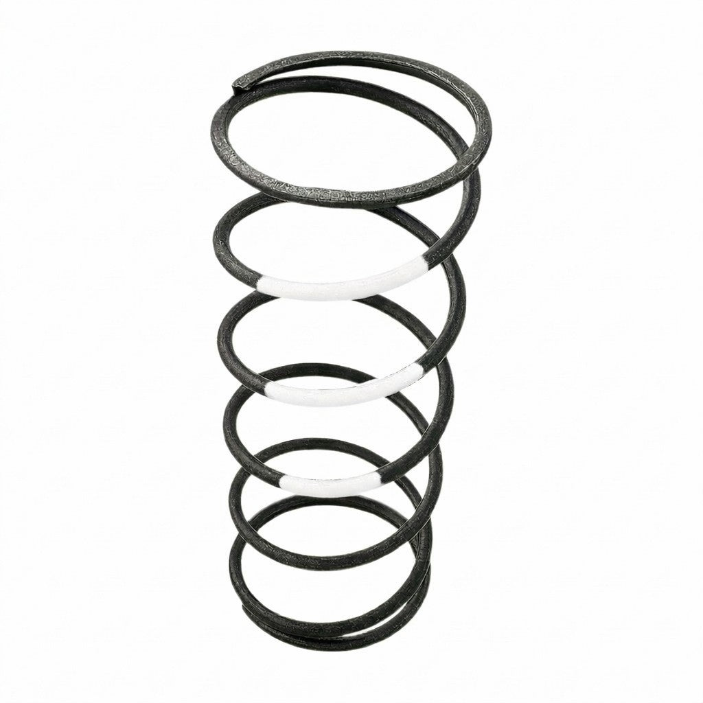 GARRETT 898344-0004 Valve Spring, White for GVW-40 / GVW-45 / GVW-50 Photo-0