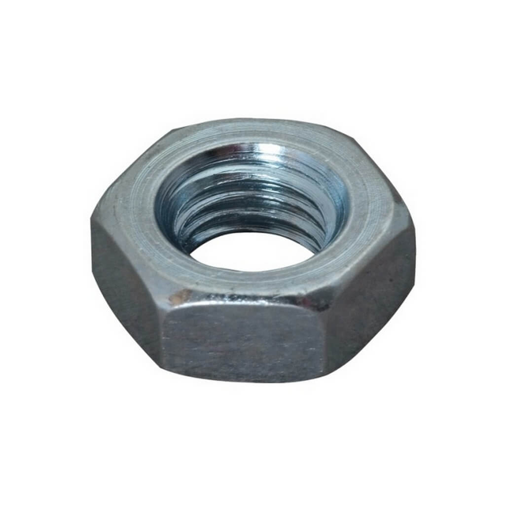 GOODRIDGE 318-31P Nut M10x1 Galvanized Photo-0