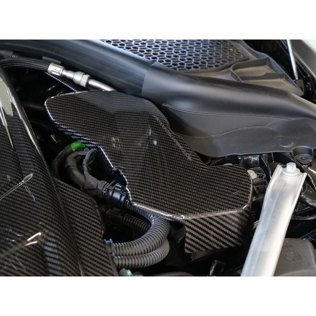 HKS 70026-AT017 ECU Cover (Carbon) for TOYOTA GR Supra (B58B30B Engine) Photo-1