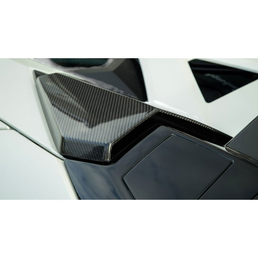 NOVITEC L6 111 43 Roof-Air-Guide, Visible Carbon for LAMBORGHINI Aventador Roadster 2011-2021 Photo-1