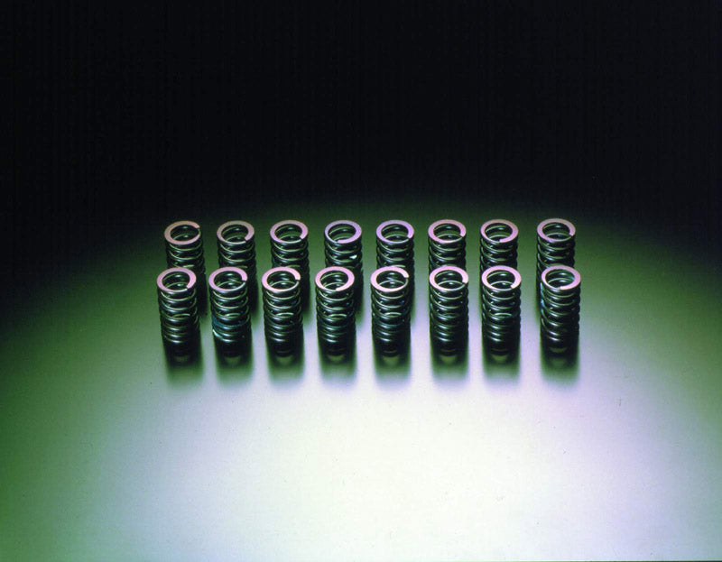 HKS 22001-AN001 Valve Spring Kit RB26 DETT Step 2 Photo-0