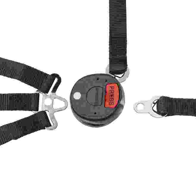 SCHROTH 09077 Driver/Interior Racing Net 5point FIA 8863-2013 black Photo-1