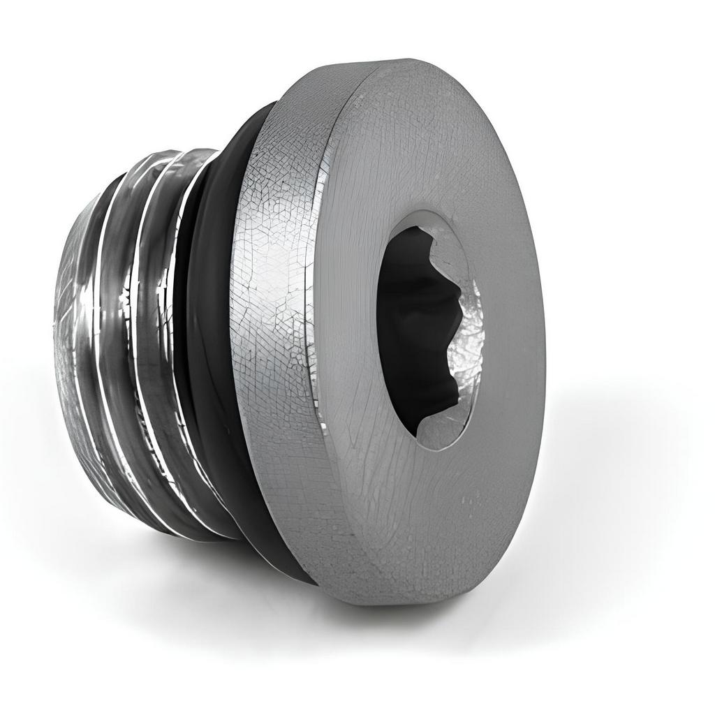 SPARCO MA0142133 Male Plug, 1/4" for 014779EXP Extinguisher Photo-0