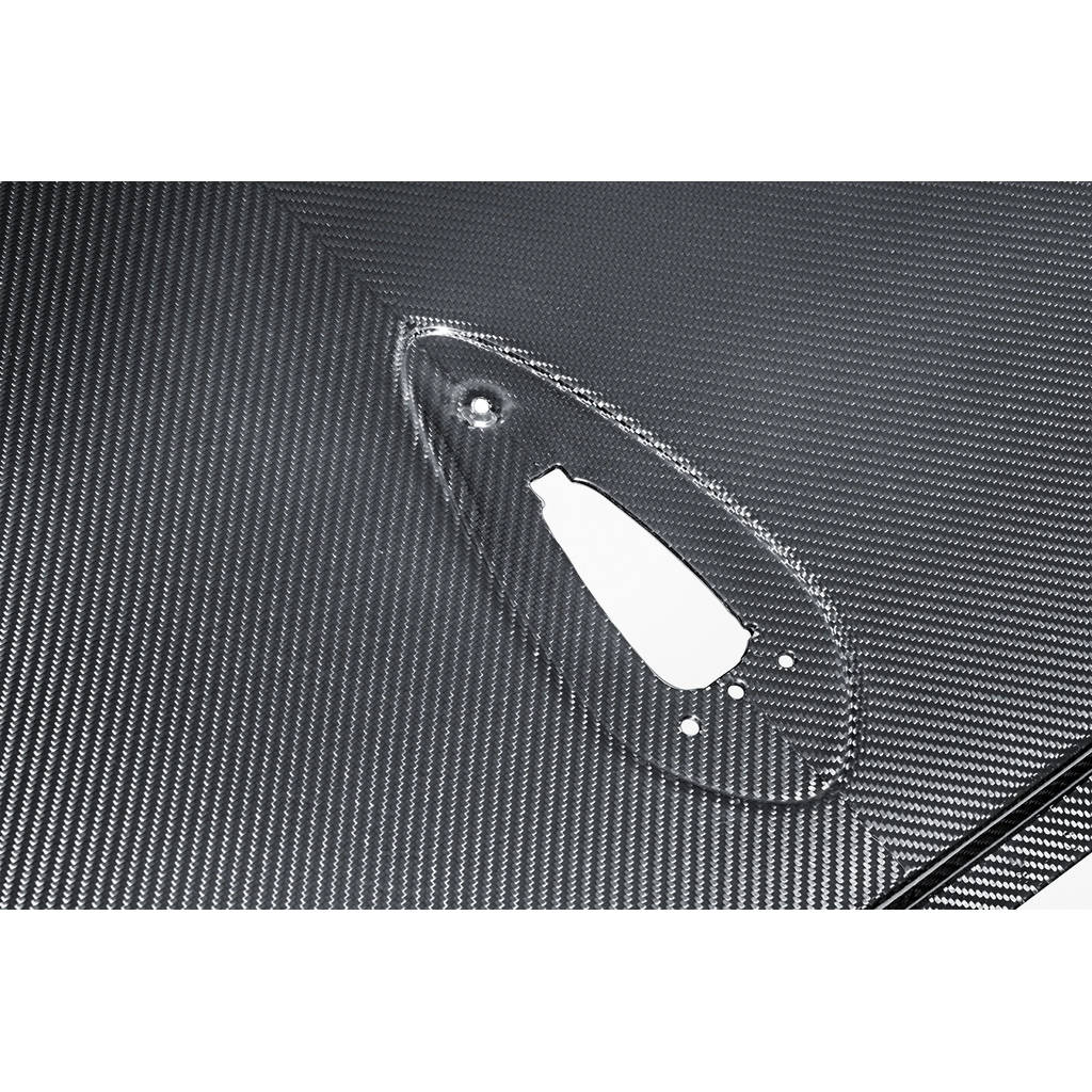 TEAM SCHIRMER EX-CAD-E46 Carbon Roof for BMW M3 (E46) Photo-2
