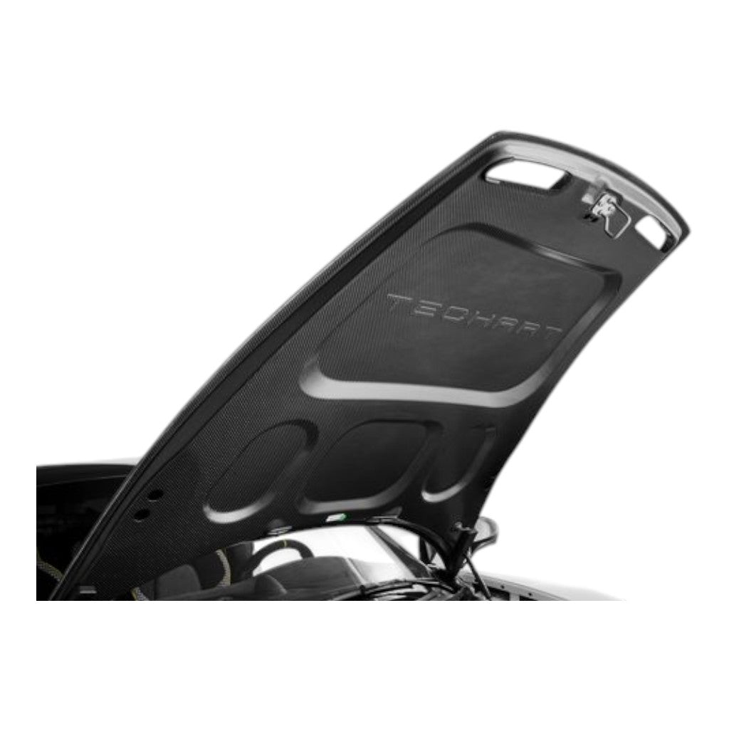 TECHART 092.100.060.009 Aero Body Kit GTstreet R Coupé for PORSCHE 911 Gtstreet R Turbo/Turbo S Coupe (992.1) Photo-8