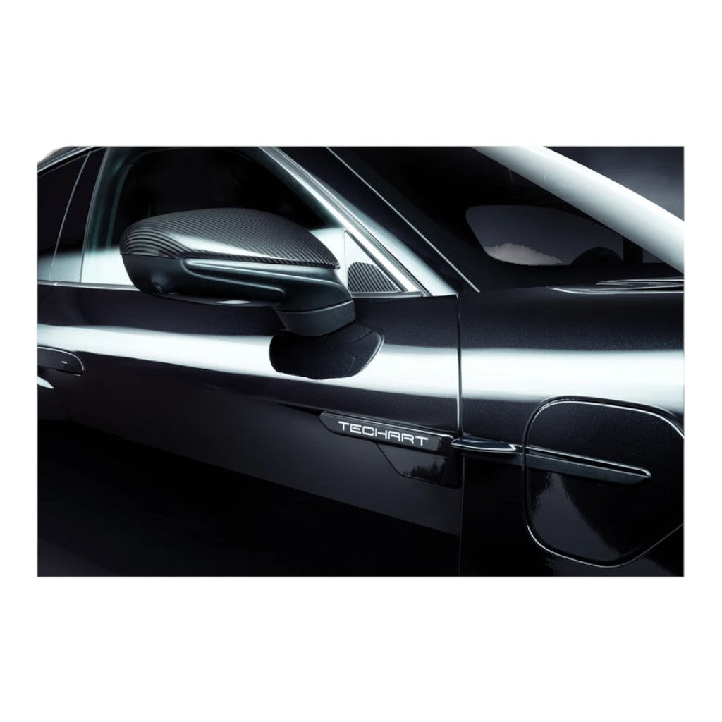 TECHART 09J.121.320.009 Side Mirror Trims for PORSCHE Taycan (9J1) Photo-7