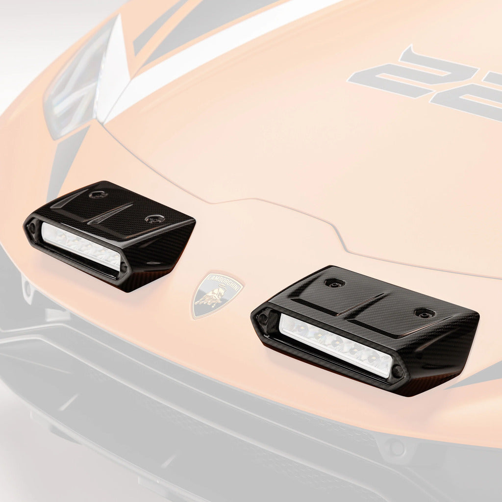 VORSTEINER 6015LOV Fog Light Cover VRS (Carbon) for LAMBORGHINI Huracan Sterrato 2023- Photo-0