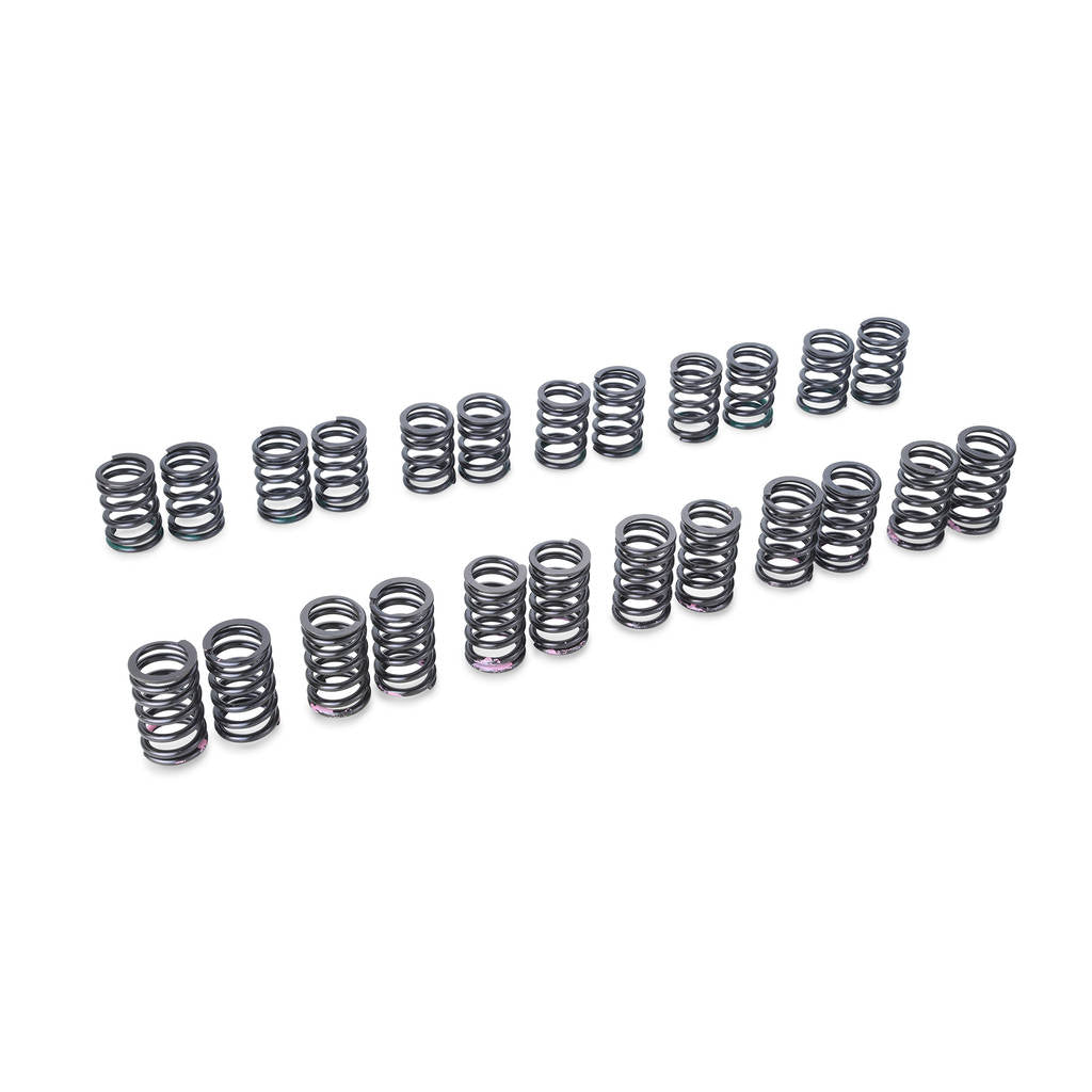 TOMEI TA304A-NS06A VALVE SPRING R33 RB25DE(T) B-TYPE (Old part 163022) Photo-0 