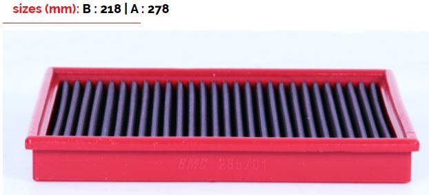 BMC FB591/20 218X185 AIR FILTER Photo-0 