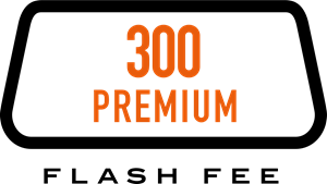 ECUTEK ECu Premium Flash Fee Premium 300 Flash Points Photo-0 