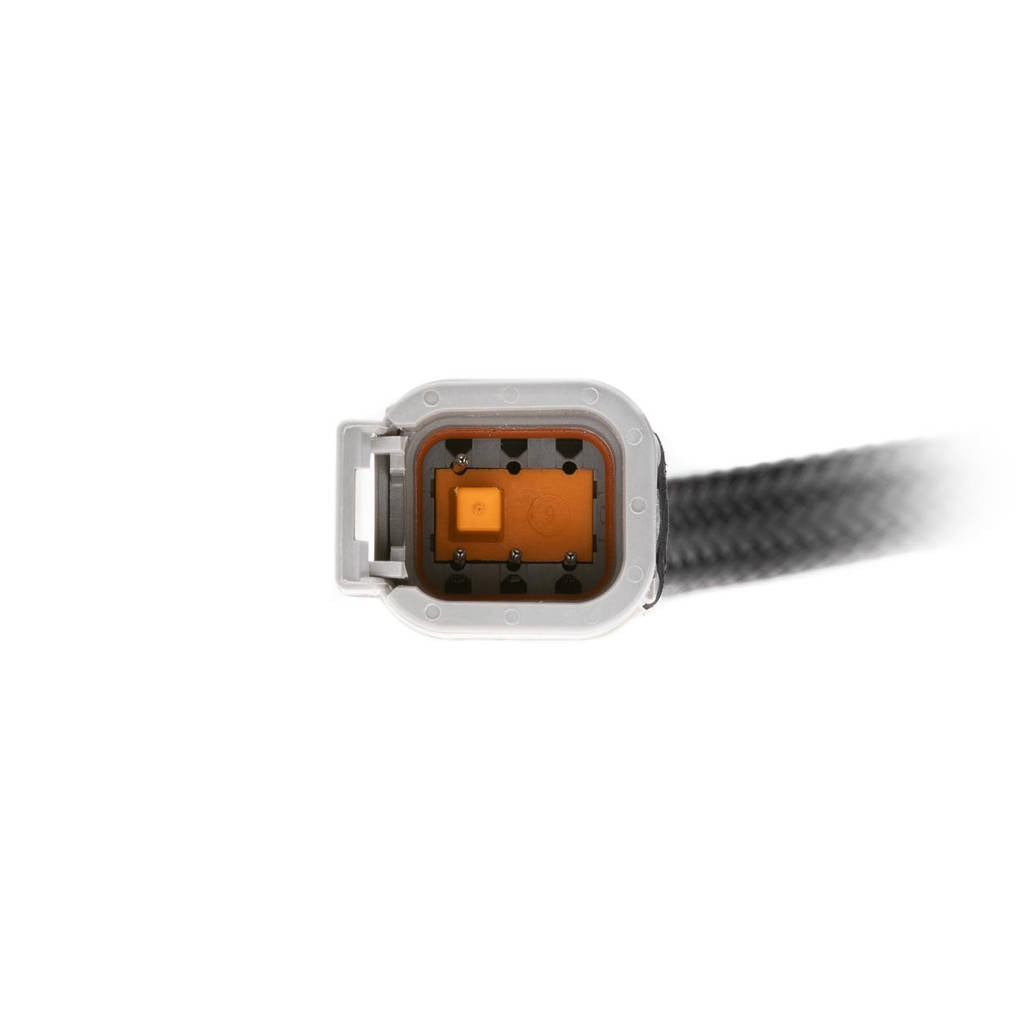 RN VISION P-LOO-OBD-AN CAN loom for OBD (angled connector) Photo-2 