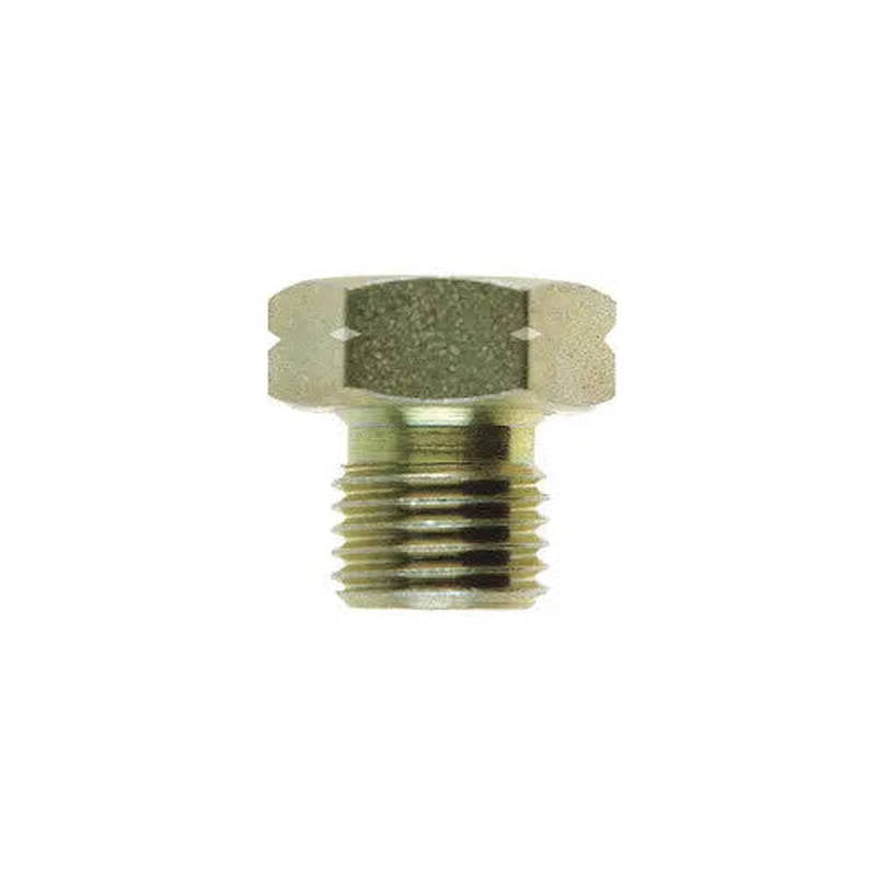 GOODRIDGE 313-04P Stopfen BSP 6Kt 1/4"x19 P Photo-0 