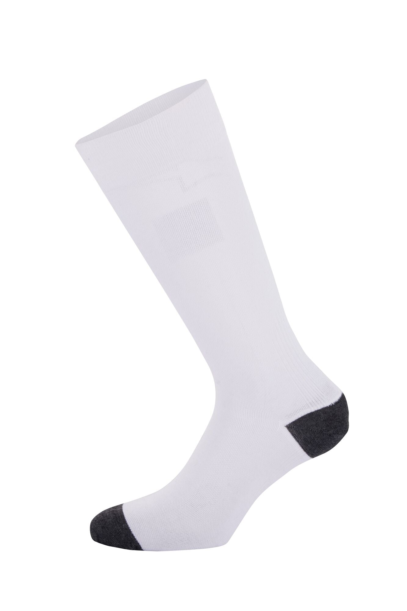 ALPINESTARS 4704323_20_L ZX V4 Racing socks, FIA 8856-2018, white, Size L Photo-1 