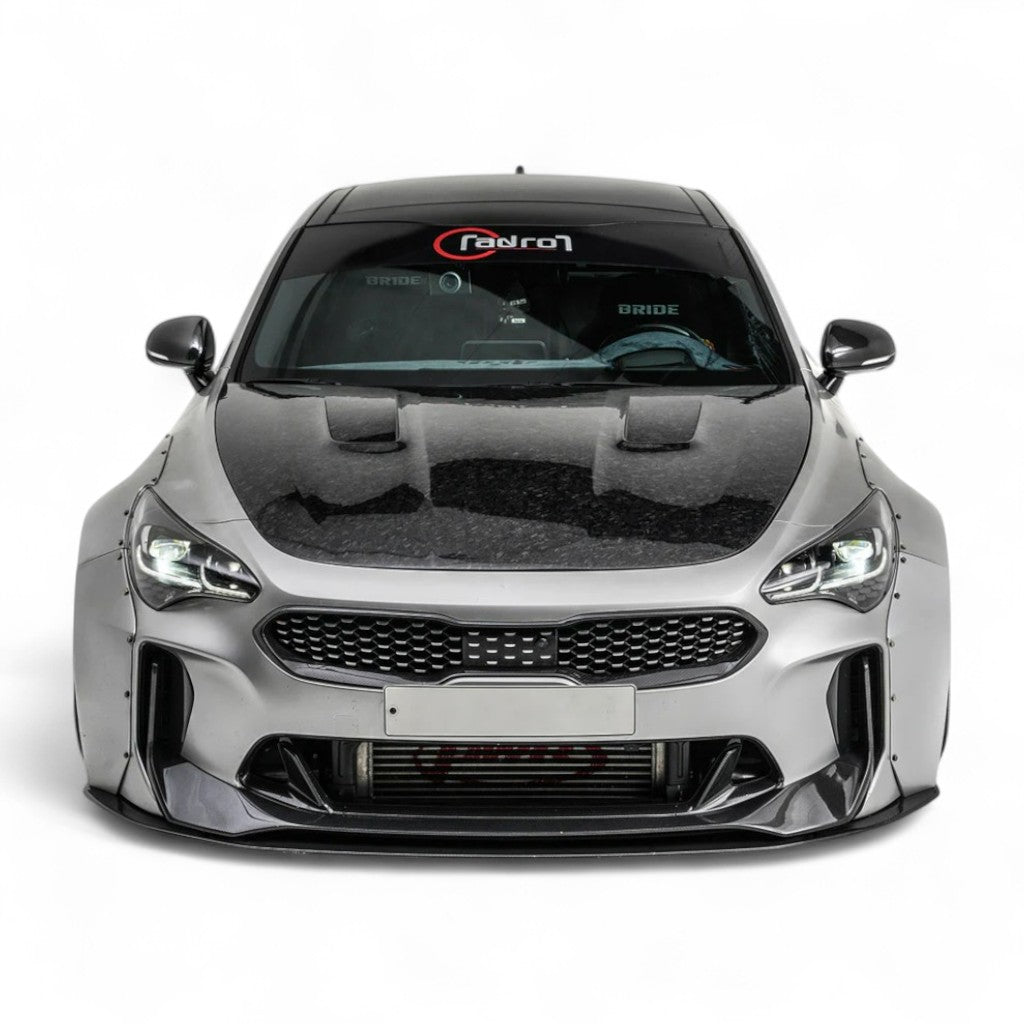 ADRO A12A30-1101 Widebody Kit for KIA Stinger 2018- Photo-0 