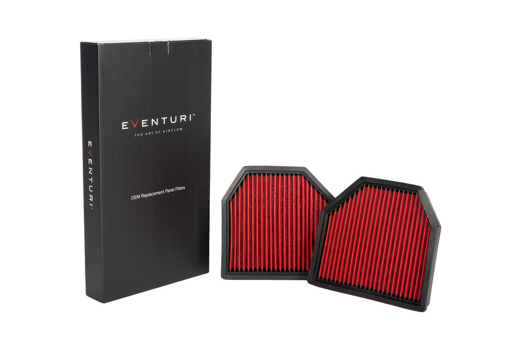 EVENTURI EVE-F8XM-PF Panel filter pair BMW F8X M3/M4 Photo-3 