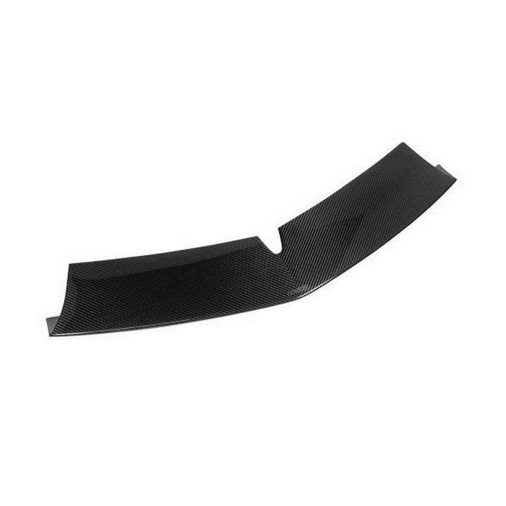 NOVITEC L6 444 10 Front Strut, Visible Carbon for LAMBORGHINI Revuelto 2023- Photo-0 