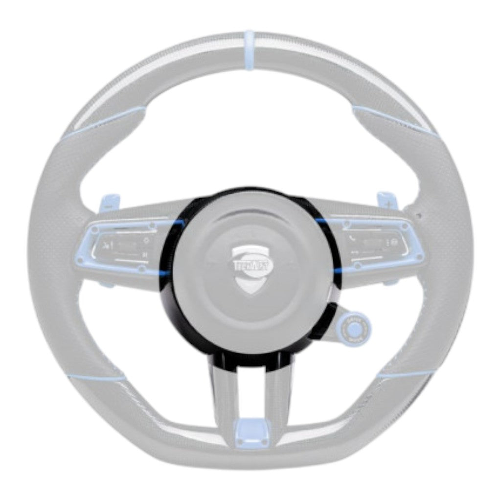 TECHART +00.430.200.014M V13: Frame Airbag, Carbon Matte Photo-0 