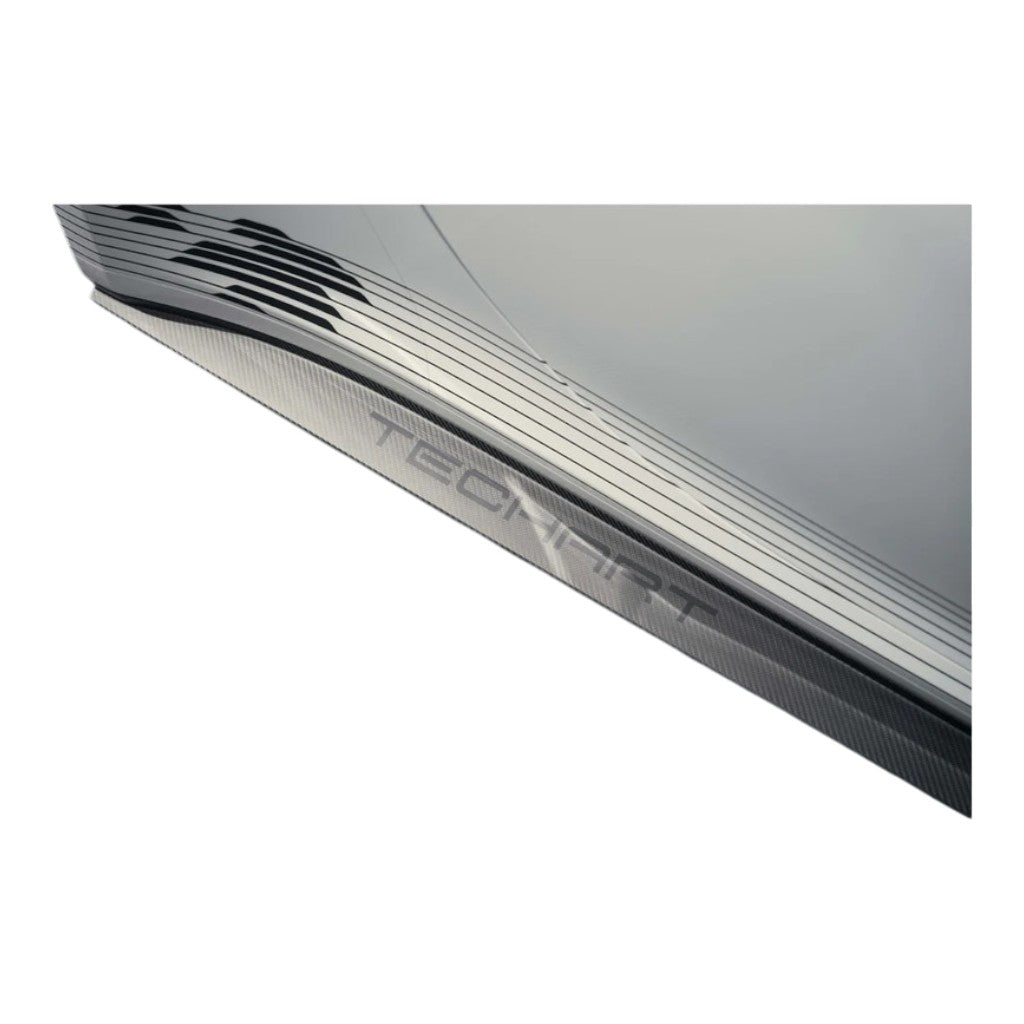 TECHART 092.121.350.009G-02 Side Skirts with TECHART Logo, Carbon Glossy for PORSCHE 911 Carrera 4/T/S/4S/GTS/4 GTS/GT3/GT3 Touring (992) Photo-2 