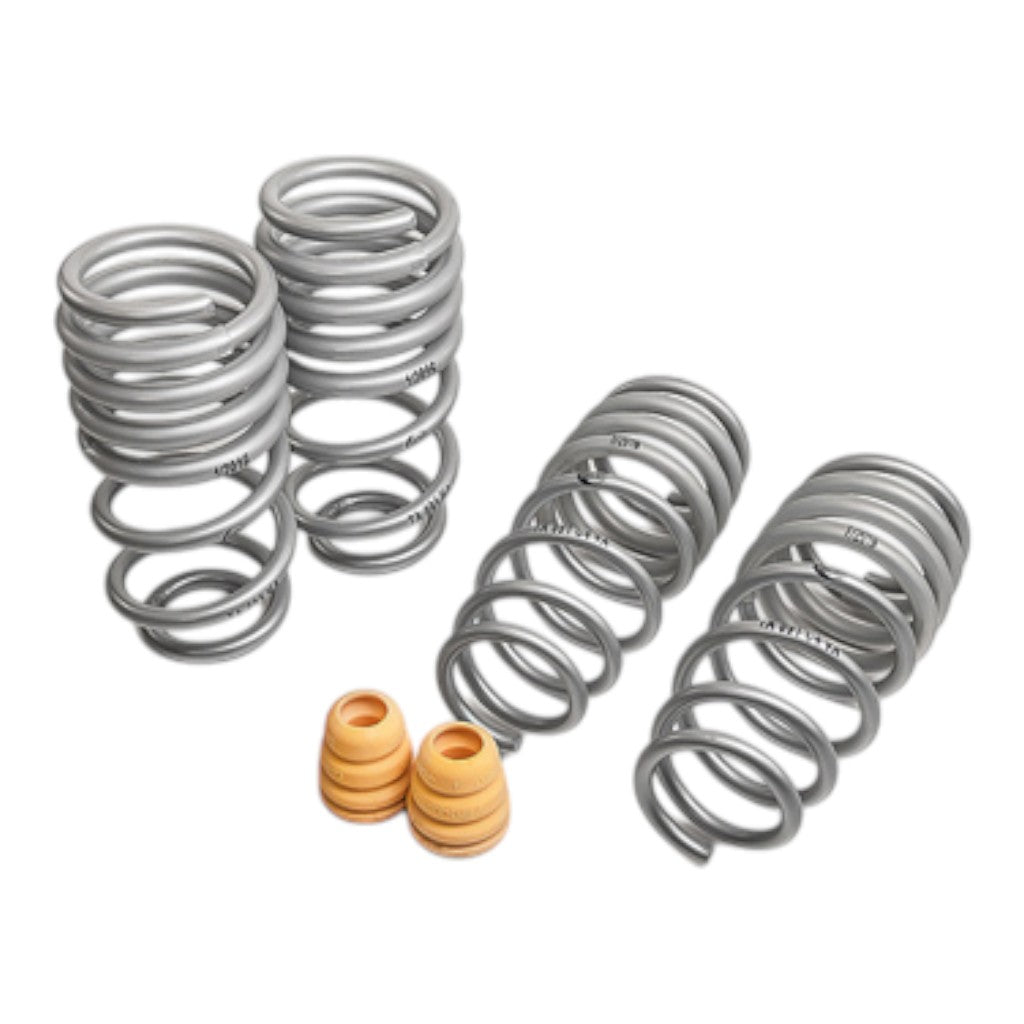 TECHART 092.200.110.009 Sport Spring Kit for PORSCHE 911 GTS/4 GTS (992.2) Photo-0 
