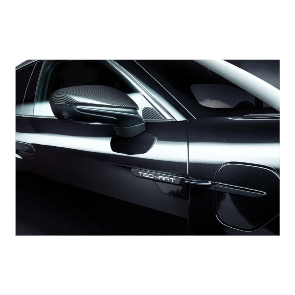 TECHART 09J.100.360.009 Trim Cover with TECHART Logo for PORSCHE Taycan (9J1) Photo-6 