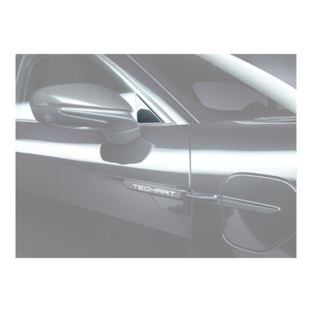 TECHART 09J.121.310.009 Left/Right Window Triangles for PORSCHE Taycan (9J1) Photo-1 