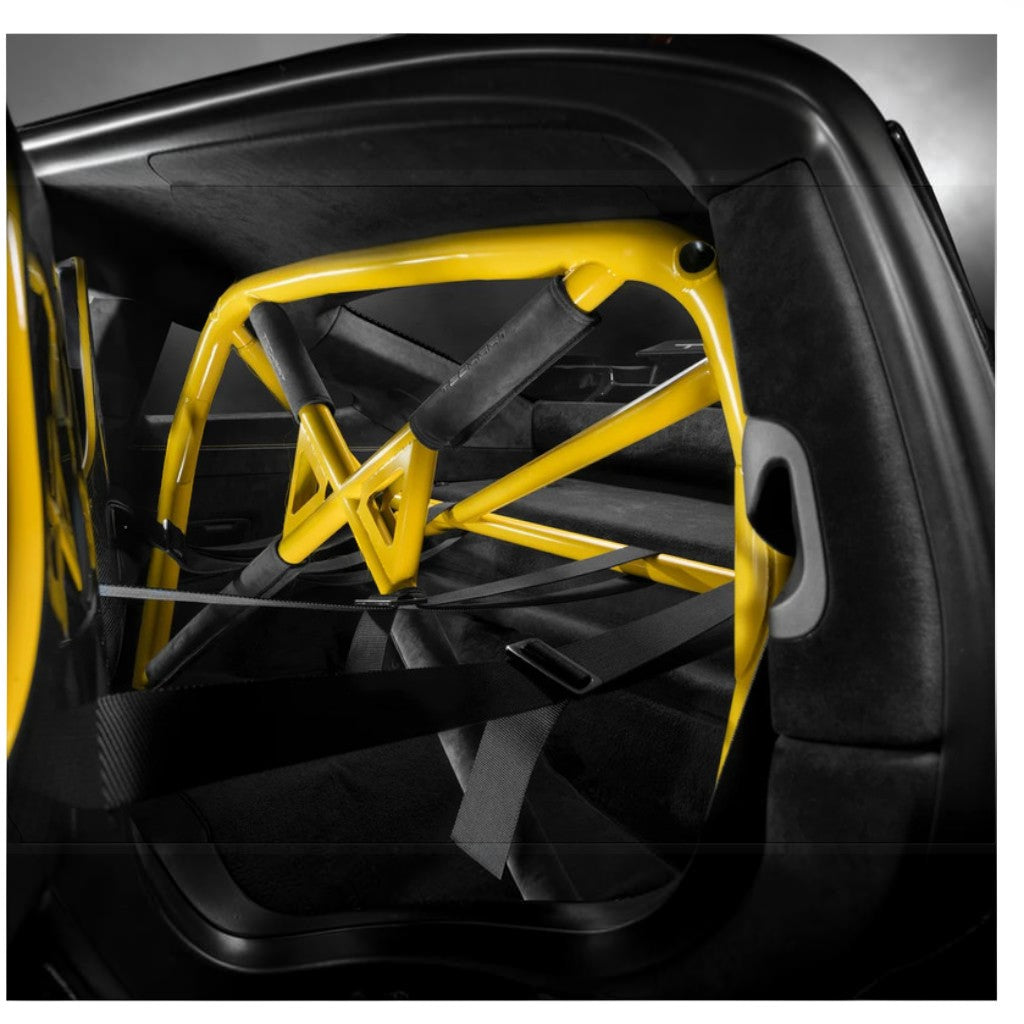 TECHART +92.460.510.300 V03: Roll-Bar Upholstery Parts for PORSCHE 911 Carrera 4/T/S/4S/GTS/4 GTS/Turbo/Turbo S/GT3/GT3 Touring/GTstreet R (992.1) Photo-3 